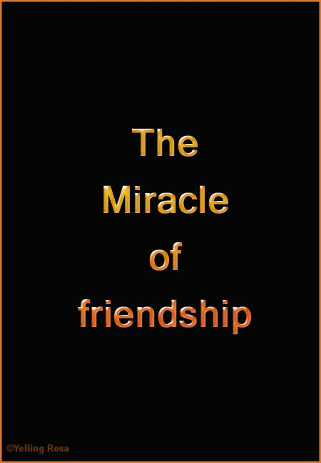 Miracle of Friendship